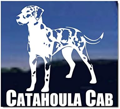 מכונית קטאהולה | מדבקה מדבקה אוטומטית של חלון כלב נמר.